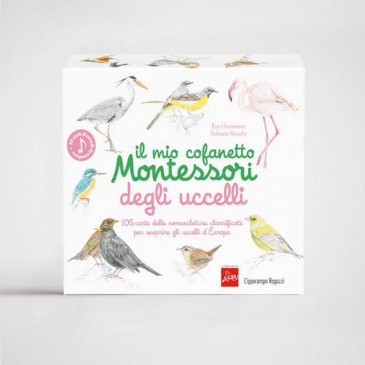 IL MIO COFANETTO Montessori DEGLI UCCELLI