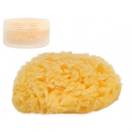 SPUGNA NATURALE con scatolina KIOKIDS - immagine 2