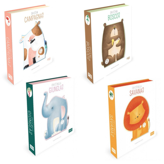 LIBRO SONORO SASSI Editore