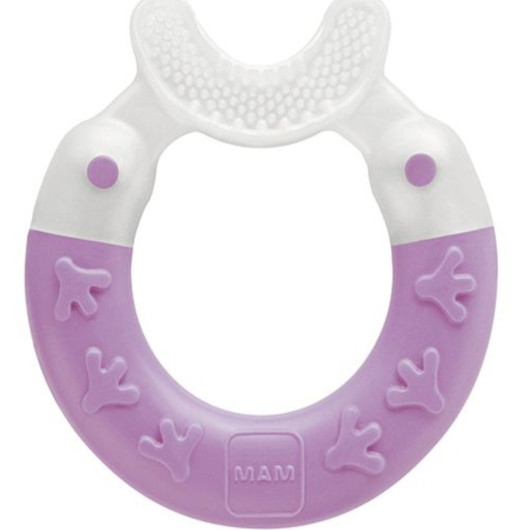 DENTARUOLO Bite & Brush MAM - immagine 2
