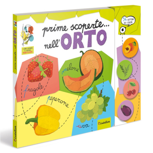 Prime scoperte... LUDATTICA - immagine 4