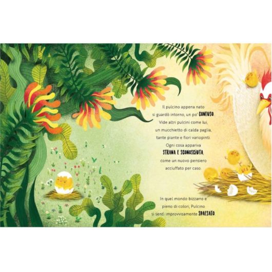 UNA FELICITA' DA PULCINO SASSI Editore - immagine 4