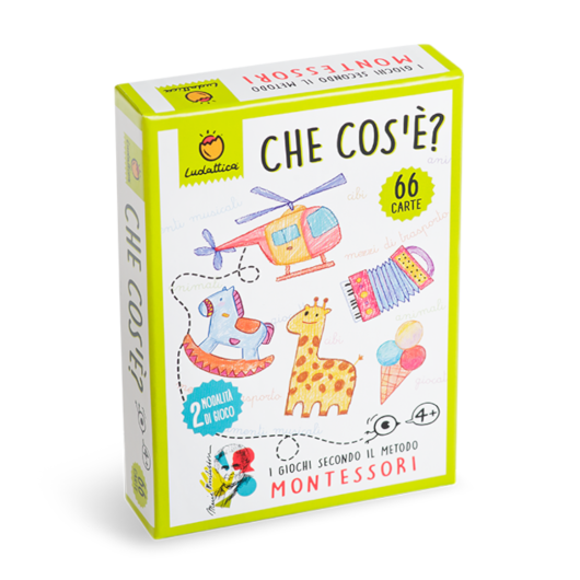 CARTE MONTESSORI Che cos'è? LUDATTICA