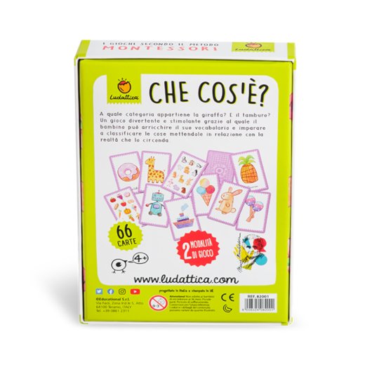 CARTE MONTESSORI Che cos'è? LUDATTICA - immagine 2