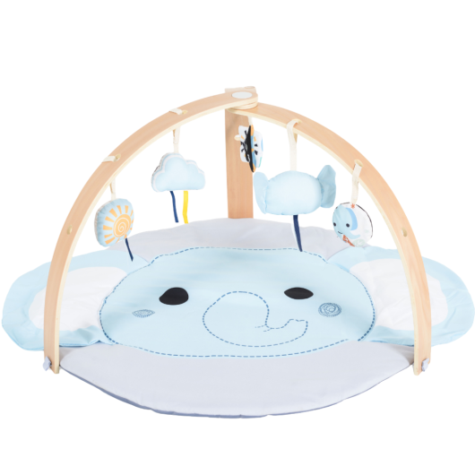 PALESTRINA MULTIATTIVITA' KONIG KIDS - immagine 3
