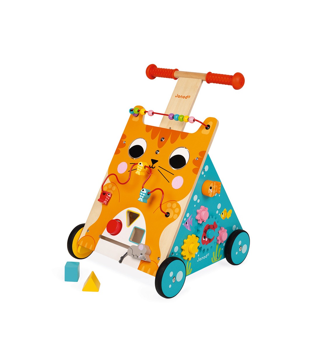 PRIMI PASSI MULTI ATTIVITA' Gatto JANOD