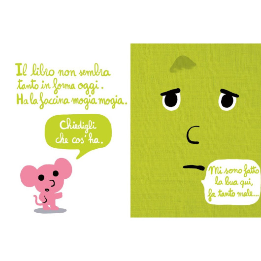 IL LIBRO CHE HA LA BUA - immagine 3