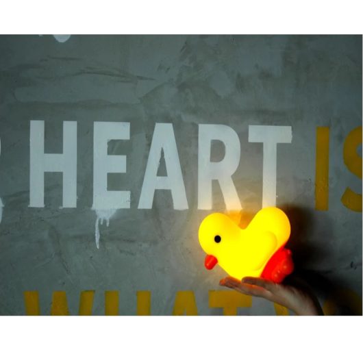 LUCE CAMERETTA CANAR DHINK - immagine 4