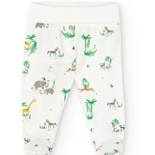 LittleSafari PACK 4 pezzi a maglia UNISEX BOBOLI - immagine 4