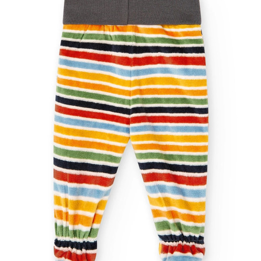 AnimalFarm PACK PUNTO UNISEX BOBOLI - immagine 4