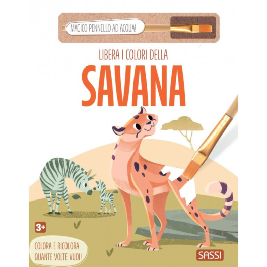 LIBRI INCHIOSTRO MAGICO SASSI Editore - immagine 2