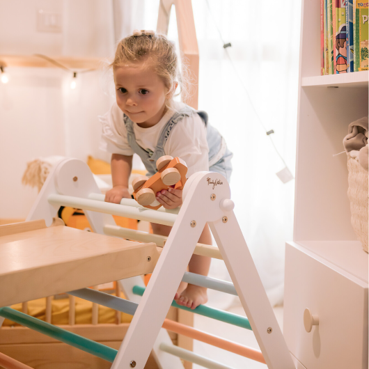 TRIANGOLO DI PIKLER MONTESSORI Rainbow FAMILY NATION - immagine 8