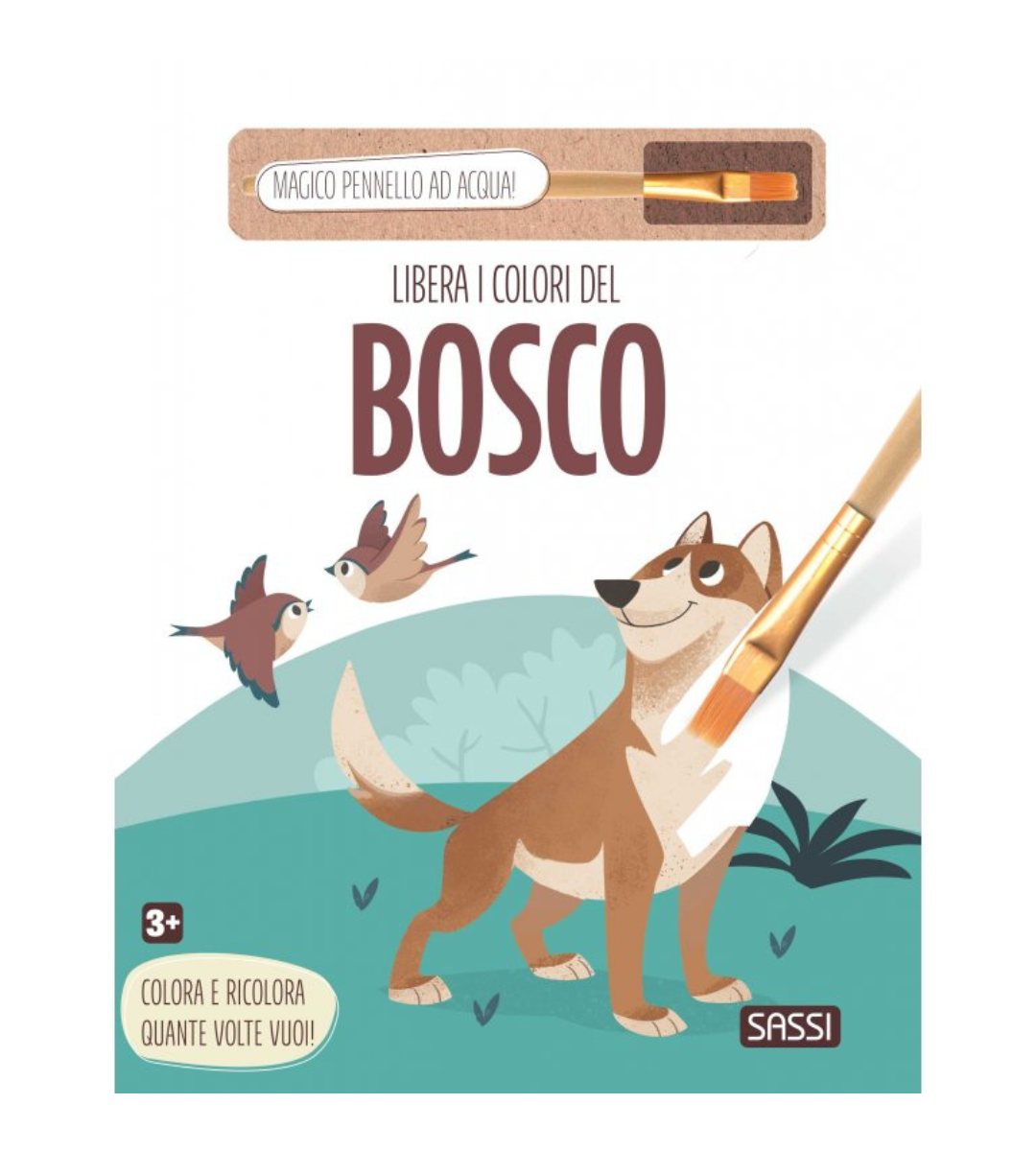 LIBRI INCHIOSTRO MAGICO SASSI Editore - immagine 3